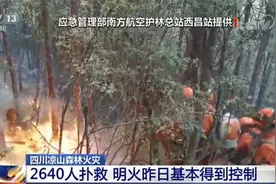 四川凉山州森林火灾 过火面积约89公顷 2640人进行扑救图片