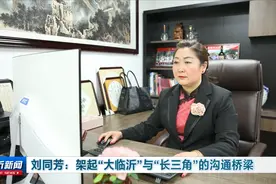 「实施“三步走”对接长三角」刘同芳：架起“大临沂”与“长三角”的沟通桥梁图片