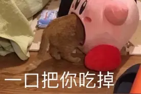 头像表情包丨毛茸茸的星之卡比图片