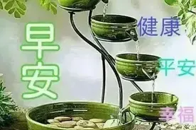 人生，没有永远的伤痛，再深的痛，伤口总会痊愈，早安图片