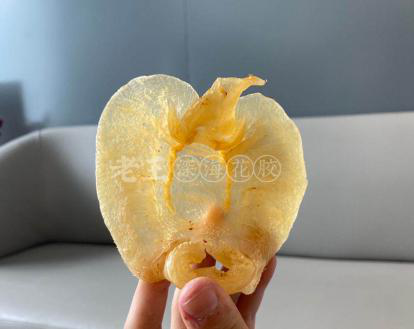 假的花胶吃了以后 2026年花胶假的吃了会怎样