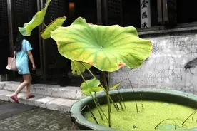 唐伯虎最为人熟知的作品，竟是一套春图图片