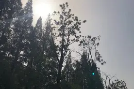 天籁保养之天籁更换空调滤芯（上）图片