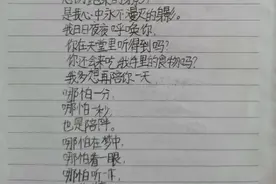 小学四年级女孩写给宠物鸡的现代诗图片