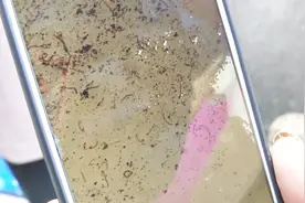 我的天！自来水里竟然有红色小线虫，这还让人怎么喝！啥原因？视频封面
