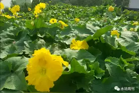 用了十年，这个配方值得信赖图片