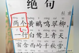 课本教“一行（xíng）白鹭上青天”，课本错了还是我们记错了图片
