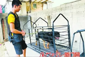 动物培训机构生意火了！宠物犬胖成“煤气罐”被主人送去减肥班图片