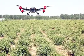 共享植保无人机来了！一天可给500亩农田喷药，一亩成本只要4块！视频封面