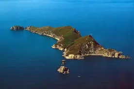 旅顺鸟岛岛主——海鸥图片