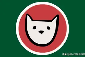 六味地黄丸能当成保健品来吃吗？图片