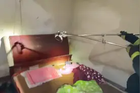 湖南一男子睡觉时，床下惊现剧毒眼镜蛇，被咬了怎么办？该放生吗图片