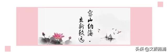 七头鳕鳘花胶多少钱 2026年鳕鳘鱼花胶多少钱一斤