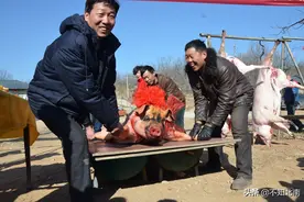 扛着一整头猪去扫墓祭祖，是广西很多地方特有的现象图片