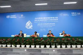 全文实录丨联合国生物多样性大会高级别会议新闻发布会图片