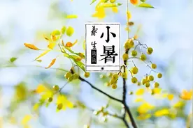 二十四节气养生：小暑至，盛夏始，平心静气以养心图片