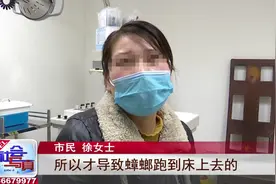 睡梦中蟑螂爬进耳朵里！医生提醒：千万别这么做，不然越爬越深图片