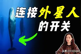 水下“巨石阵”，最贵的“便便”，可能会改变人类历史？图片