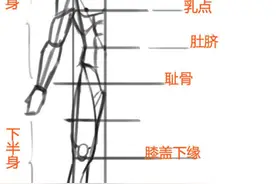 人体基础——腿部画法图片