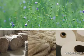 为什么现在懂得穿亚麻服装的人，越来越多，还能穿出高级清爽感觉图片