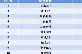 全国小麦品种，这10个品种最牛！种植面积前十小麦品种图片