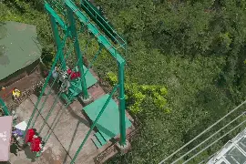 DV现场记者在“通天神掌”上尬舞，网友们都被逗笑了图片