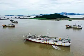 中国首次公海休渔，我们还能吃到大鱿鱼吗？图片