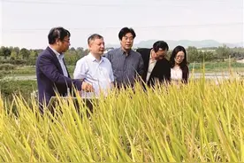 杭州种业：加快建设全国一流种业集团图片