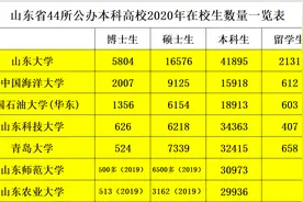 从2020年在校生的数量、层次看山东高校排名图片
