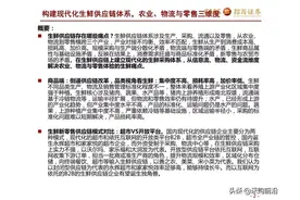 33页PPT带你了解生鲜新零售供应链体系图片