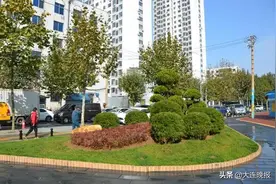 打卡！大连新增一处公园图片