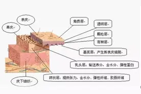 为什么化妆品要用成套的？图片