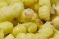 看滥用抗生素怎样气走蜂蛹收购商，论中国蜂产品品牌树立的关键性图片