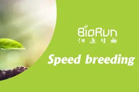 如何让你的转化实验事半功倍图片