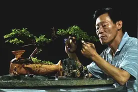 别人丢掉的酒瓶，退休老人做成盆景，盆盆是精品，四邻都羡慕图片