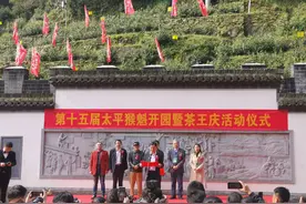 第十五届太平猴魁茶文化旅游节正式开园图片
