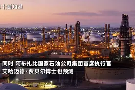 全球石油消费量排名：美国第1，中国第2，印度第3视频封面