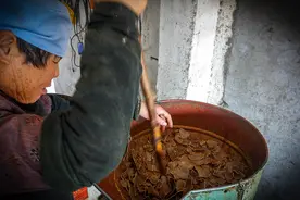 榨油后的残渣也有用，使用方法学起来了，家里的花草不缺肥图片
