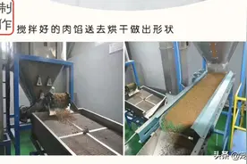 注意｜宠物自制宠物零食要避坑，这些坑你踩过吗？图片