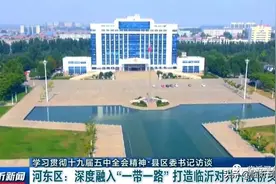 河东区委书记隽新阳接受临沂新闻专访：深度融入“一带一路”打造临沂对外开放桥头堡图片