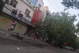 河南商丘市夏邑遭遇最大12级风灾，电力工人连夜抢修图片