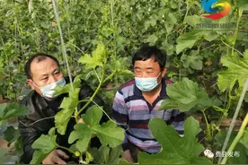 费县这项工作，新华社点赞！图片