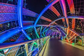 深圳最新灯光秀来了！梦幻水幕，浪漫星海，这5个区都有图片