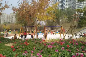 七绝 秋游任丘矿山公园图片