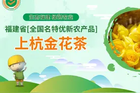 上杭金花茶 扶贫金花 茶族皇后｜福建省【全国名特优新农产品】图片