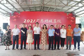 20吨广东增城荔枝走出国门！首发出口日本图片