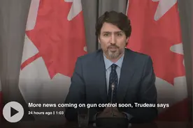 美国会坑队友！专家指出，加拿大禁枪再努力，美国不禁也没用图片
