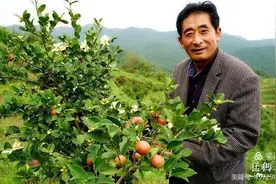 不负青山不负卿图片