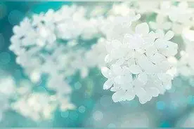 真正有钱的男人喜欢的女人，有4种图片