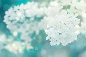 真正有钱的男人喜欢的女人，有4种图片